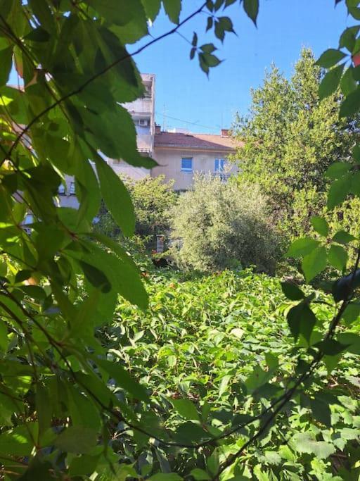 Emaus Garden - City Center & 2 Bth Split Extérieur photo